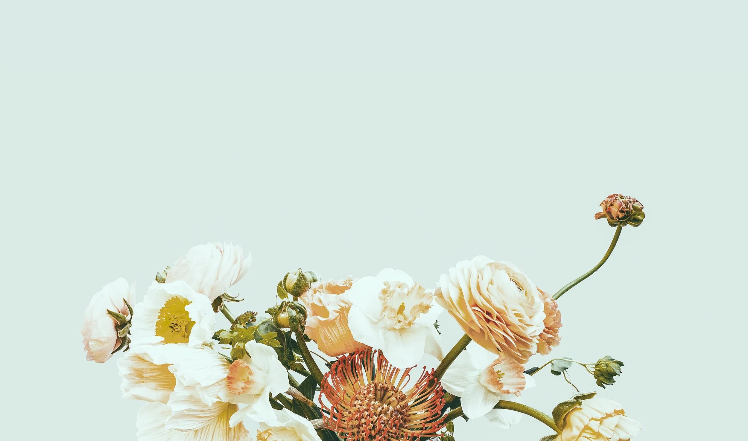Floral background